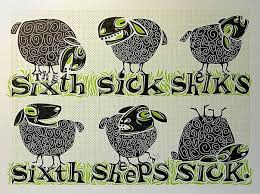 sheep